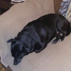 Meet your Posher, Cathy